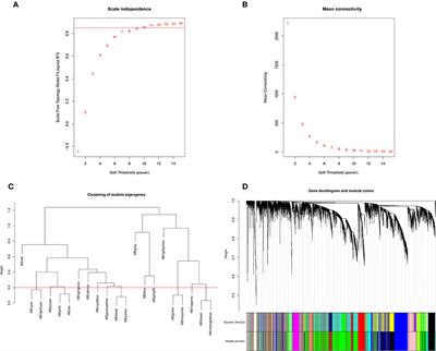 Identification of the hub genes related to adipose tissue metabolism of bovine